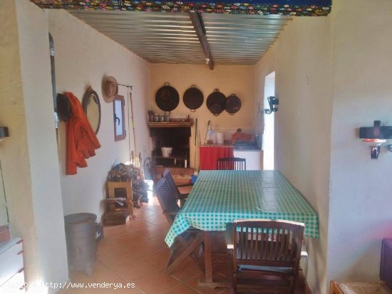 TERRENO RÚSTICO CON ALMENDROS Y CASA DE CAMPO.