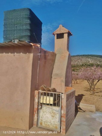 TERRENO RÚSTICO CON ALMENDROS Y CASA DE CAMPO.