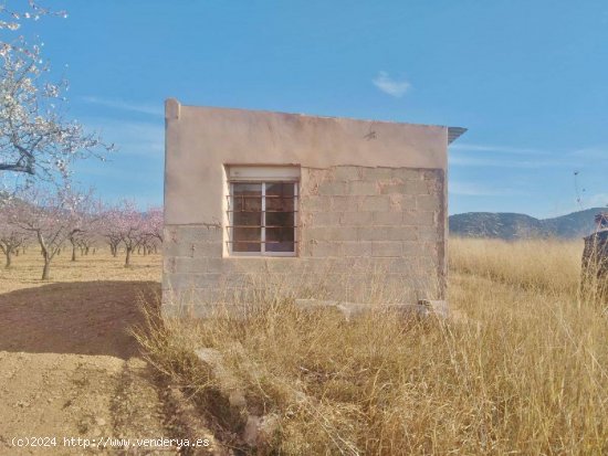 TERRENO RÚSTICO CON ALMENDROS Y CASA DE CAMPO.