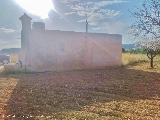 TERRENO RÚSTICO CON ALMENDROS Y CASA DE CAMPO.