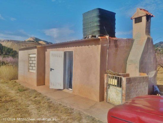 TERRENO RÚSTICO CON ALMENDROS Y CASA DE CAMPO.