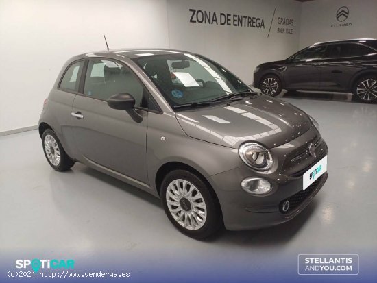 Fiat 500   1.0 Hybrid 51KW (70 CV) Monotrim - Vigo