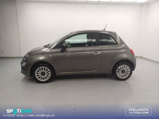 Fiat 500   1.0 Hybrid 51KW (70 CV) Monotrim - Vigo