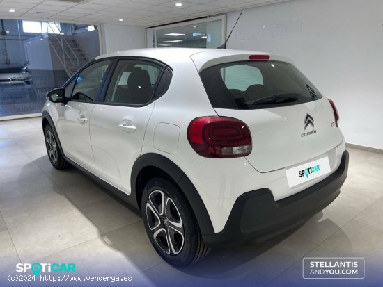 Citroën C3  BlueHDi 75KW (100CV) Plus - Almería