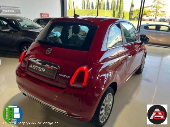 FIAT 500 en venta en Lleida (Lleida) - Lleida