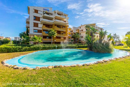 Apartamento Punta Prima La Recoleta - ALICANTE