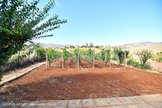 CASA DE CAMPO CON TERRENO - LAS PALMAS