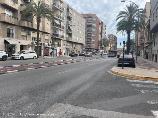 PEDRO JUAN PERPIÑAN LOCAL EN ALQUILER - ALICANTE