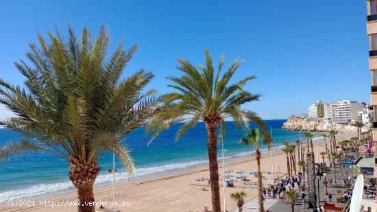 Amplio dúplex con vistas espectaculares en 1 Linea playa Levante. - ALICANTE