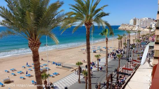 Amplio dúplex con vistas espectaculares en 1 Linea playa Levante. - ALICANTE