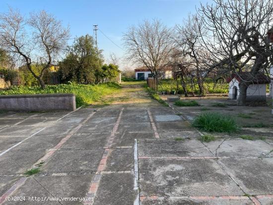 FINCA RÚSTICA CON CASA EN TRIGUEROS (HUELVA) - HUELVA