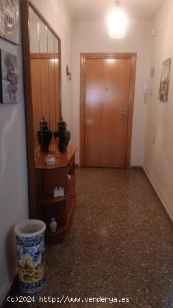 VENTA DE PISO CON GRAN PATIO EN EL CENTRO DE MOLINA - MURCIA