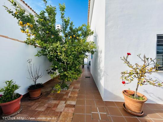 Chalet de 4 dormitorios y piscina en Las Rapaces - CADIZ