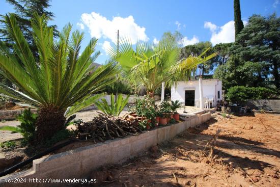 CASETA CON TERRENO - VALENCIA