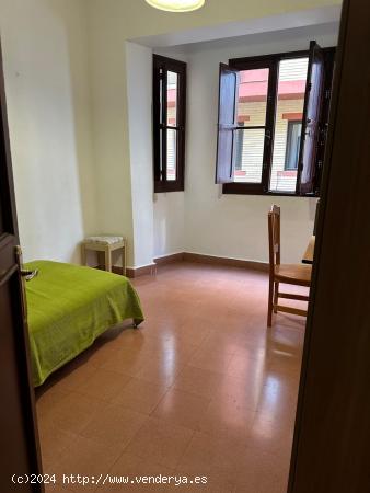  ALQUILER DE  PISO COMPARTIDO PARA ESTUDIANTES EN LAS PALMAS ZONA TRIANA - LAS PALMAS 