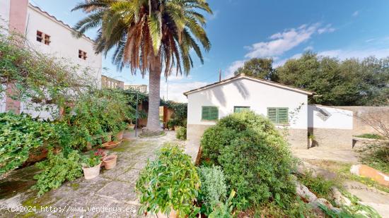 Encanto mallorquín: finca rústica tradicional en Son Sardina, Palma - BALEARES