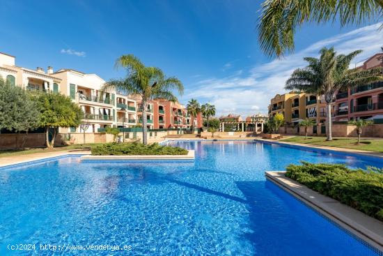 Ático con terraza solarium en los Colibrís - BALEARES