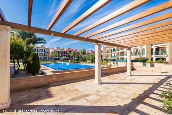 Ático con terraza solarium en los Colibrís - BALEARES