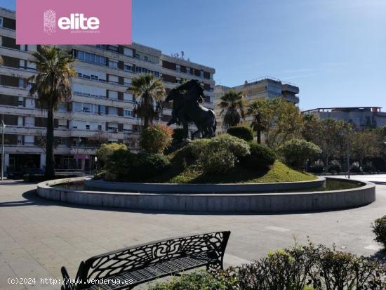  MAGNIFICO PISO EN LA PLAZA DEL CABALLO CON TERRAZA - CADIZ 