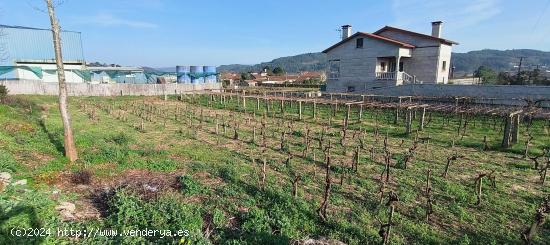 FINCA EDIFICABLE EN BAIÓN - PONTEVEDRA