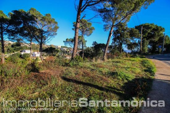  Parcela en Tordera, zona Agora Parc - BARCELONA 