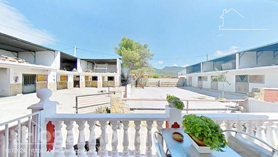 CHALET CON GARAJE, TERRAZA, PISCINA Y PARCELA - CASTELLON