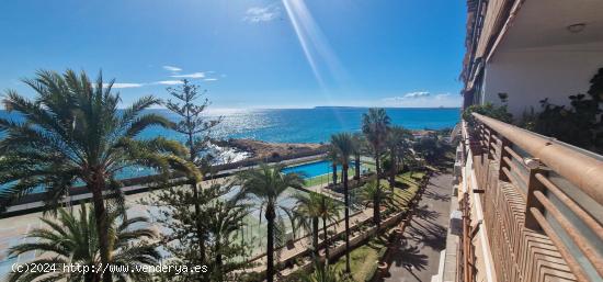  Apartamento en Alicante con empresionantes vistas al mar!!! - ALICANTE 