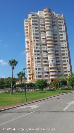 APARTAMENTO DE ALQUILER , VIA PARQUET - ALICANTE