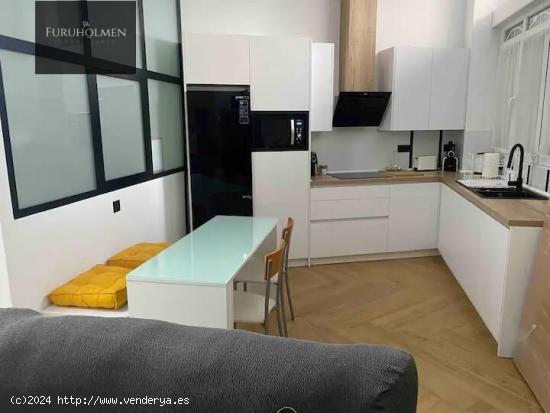 APARTAMENTO EN CALLE TEJEIRO JUNTO RECOGIDAS. - GRANADA