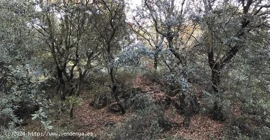 Vivir en el campo a 10 minutos de Granada, Aguas Blancas - GRANADA