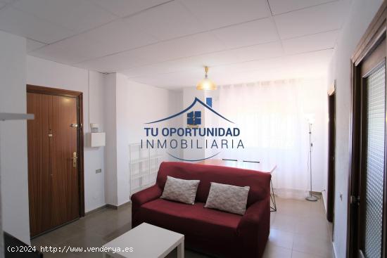 Se alquila apartamento en La Merced Murcia - MURCIA