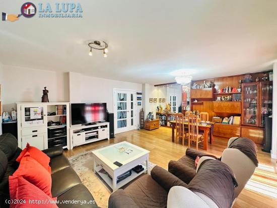 LA LUPA INMOBILIARIA - MADRID