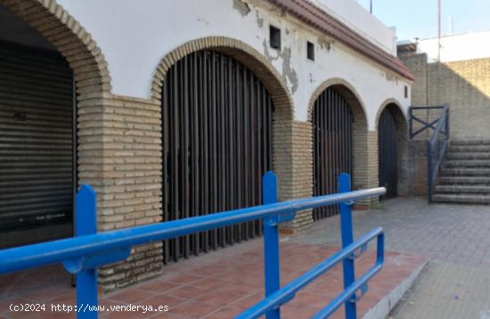 LOCAL MAIRENA DEL ALJARAFE - SEVILLA