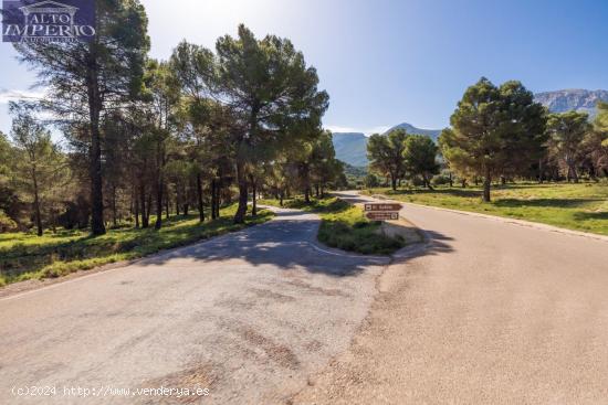 Preciosa parcela ideal para hacer una casa de madera para pasar fines de semana o vacaciones. - GRAN