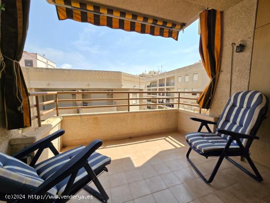 Apartamento de 1 dormitorio a 50 m de la playa - ALICANTE