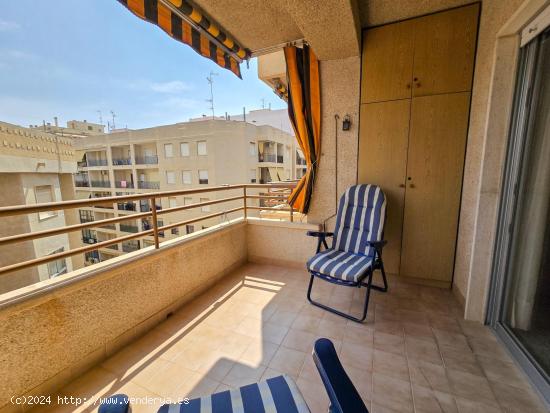 Apartamento de 1 dormitorio a 50 m de la playa - ALICANTE