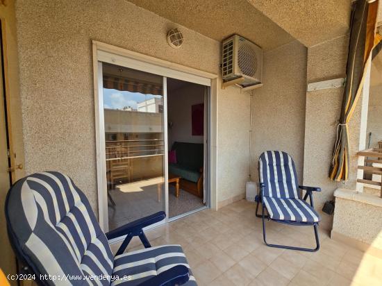 Apartamento de 1 dormitorio a 50 m de la playa - ALICANTE