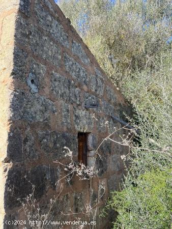 PARCELA RUSTICA CON CASETA - BALEARES