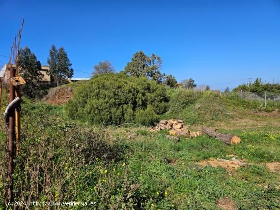  Terreno urbano en La Esperanza, Tenerife - SANTA CRUZ DE TENERIFE 