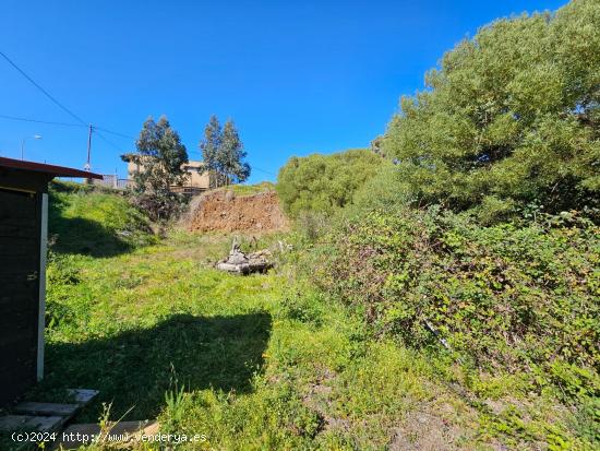 Terreno urbano en La Esperanza, Tenerife - SANTA CRUZ DE TENERIFE