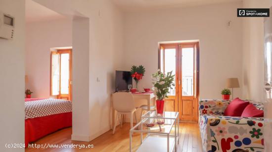 Apartamento de 1 dormitorio en alquiler en Puerta del Ángel, Madrid - MADRID