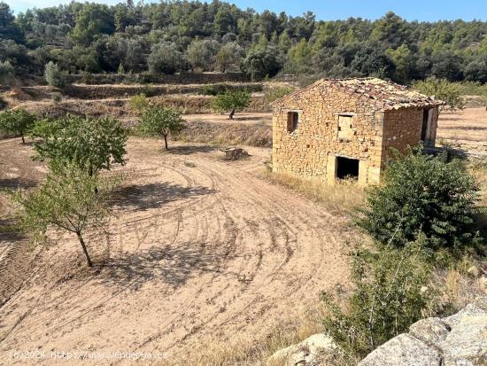  Finca con pozo productivo y maset en Valjunquera - TERUEL 