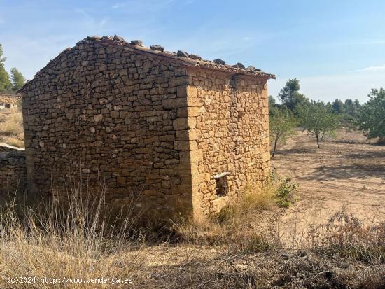 Finca con pozo productivo y maset en Valjunquera - TERUEL