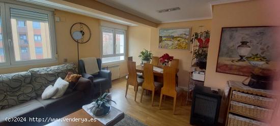  APARTAMENTO MUY LUMINOSO JUNTO AL ALCAMPO - BURGOS 