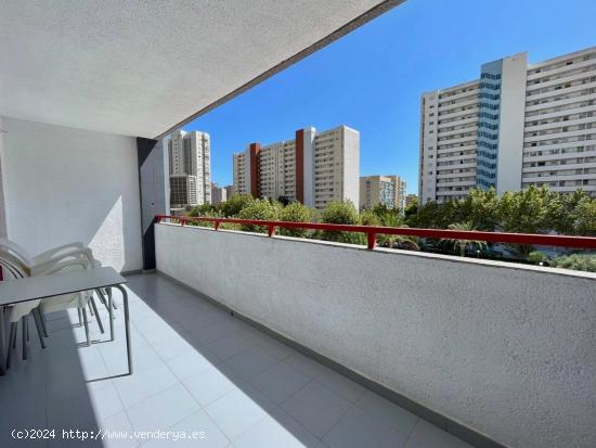 APARTAMENTO AMPILO EN UNA URBANIZACIÓN VALLADA CON PISCINA Y PARKING COMUNITARIO - ALICANTE