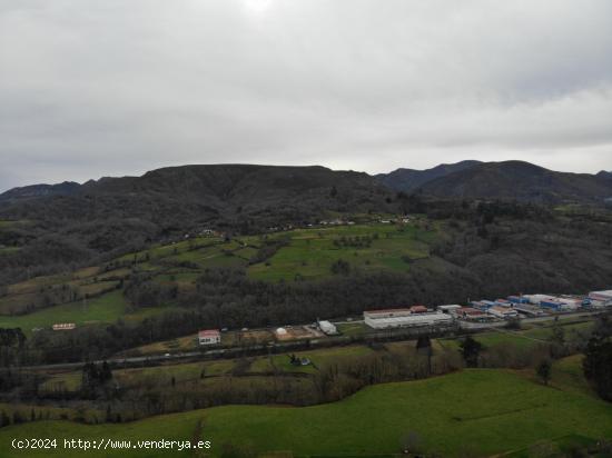  TERRENO EN VENTA EN EL ACEBEDO INFIESTO - ASTURIAS 