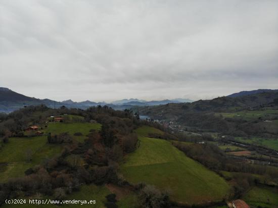 TERRENO EN VENTA EN EL ACEBEDO INFIESTO - ASTURIAS