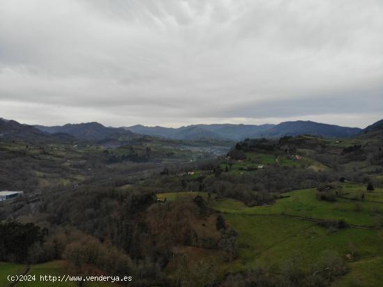 TERRENO EN VENTA EN EL ACEBEDO INFIESTO - ASTURIAS