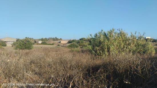 SE VENDE PARCELA SEGREGADA EN CALLEJON BORREGUITOS - CADIZ