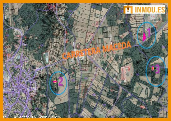 Se venden 3 Fincas rústicas en el entorno de Maceda - ORENSE